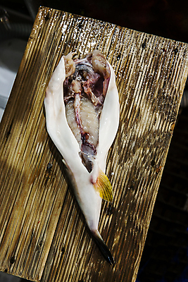 포토 JPG 서울 사람없음 복어 재료손질 해산물 나무도마 국내포토 도마 한국 어류 목재 손질 파일형식