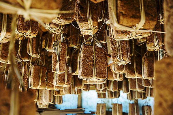 포토 JPG 건조 실내 매달리기 사람없음 된장 강원도 발효 메주 평창 국내포토 모션 한국 내부 양념 파일형식