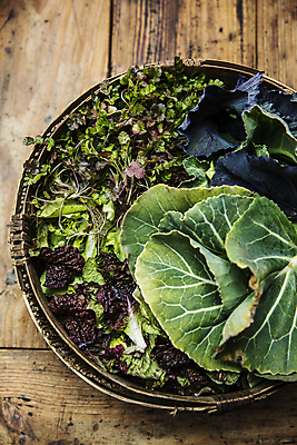 포토 JPG 채소 실내 사람없음 소쿠리 상추 전라남도 배추 담기 장성 나무배경 국내포토 백그라운드 모션 내부 바구니 전라도 파일형식