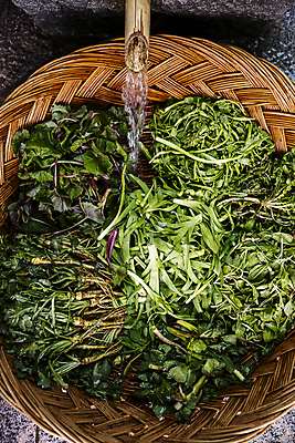 포토 JPG 채소 물줄기 사람없음 소쿠리 씻기 상추 전라남도 배추 장성 국내포토 물 바구니 청결 전라도 파일형식