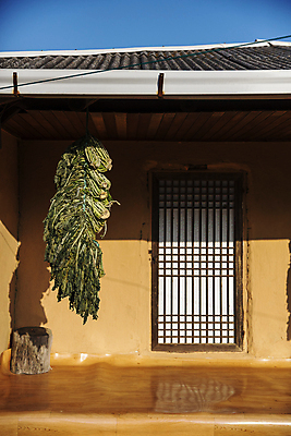 포토 JPG 주간 건조 사람없음 야외 강원도 창호문 무청 시래기 양구 국내포토 자연요소 한국 문 파일형식