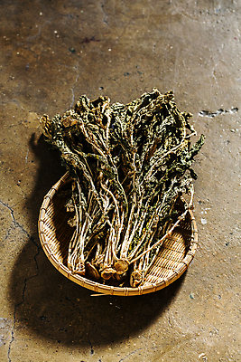 포토 JPG 실내 사람없음 소쿠리 담기 강원도 땅바닥 무청 시래기 양구 국내포토 모션 바닥 한국 내부 바구니 파일형식