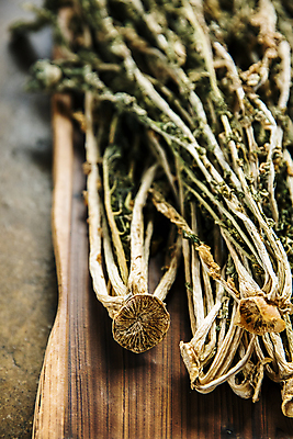 포토 JPG 근접촬영 사람없음 아웃포커스 강원도 나무쟁반 무청 시래기 양구 국내포토 뷰포인트 한국 쟁반 촬영기법 목재 파일형식