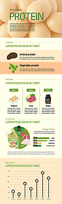 채소 일러스트 그래프 콩 종류 육류 스테이크 사람없음 계란 닭고기 인포그래픽 프라이팬 계란프라이 해산물 오징어 두부 단백질 살구색 단백질쉐이크 국내일러스트 AI파일 컬러 식재료 주방용품 곡류 연체동물 서양음식 알 수중동물 계란요리 쉐이크 영양소 파일형식 벡터