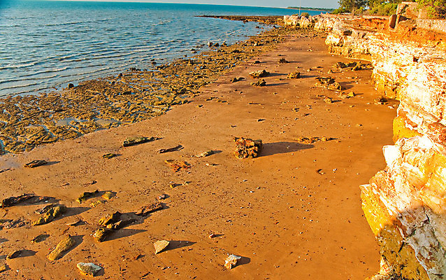 포토 JPG 해외이미지 야생동물 모래 바다 풍경 사람없음 물 파란색 태평양 해외포토 자연요소 동물 컬러 파일형식 이미지허브