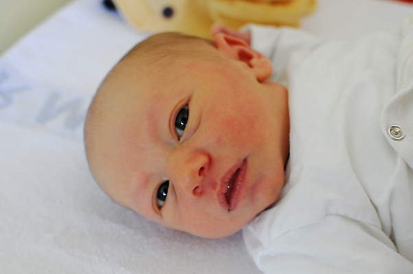 포토 JPG 해외이미지 백인 1 얼굴 어린이 새로움 한명 사람 소년 평화 아기 신생아 잠 오픈 달콤 작음 거짓말 천진난만 해외포토 서양인 남자 컨셉 신체부위 맛 크기 파일형식 이미지허브