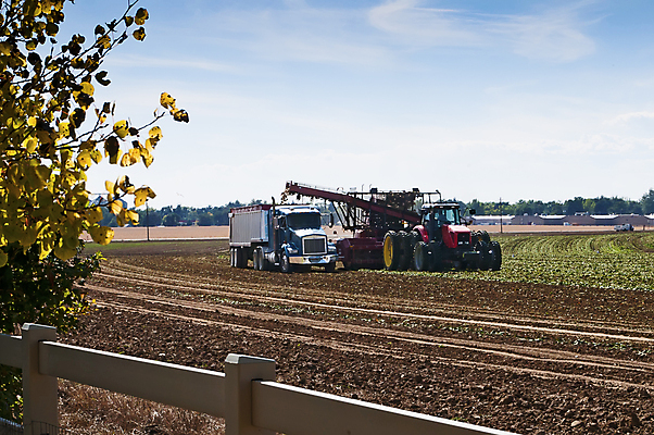 포토 JPG 해외이미지 밭 농업 사람없음 농장 미국 장비 수확 가을 시골 트랙터 짐차 콜로라도 해외포토 계절 산업 북아메리카 자동차 농기계 특수차량 파일형식 이미지허브