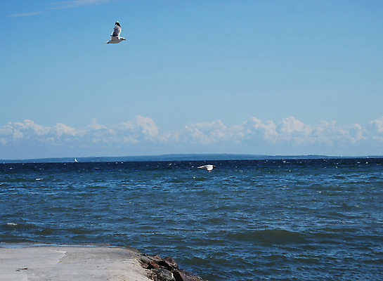 포토 JPG 해외이미지 모래 파도 바다 여행 조류 하늘 휴가 휴식 노르웨이 해변 사람없음 야외 물 모래사장 햇빛 여행객 맑음 태평양 천국 두더지 해외포토 자연요소 동물 유럽 컨셉 날씨 사람 태양 파일형식 이미지허브
