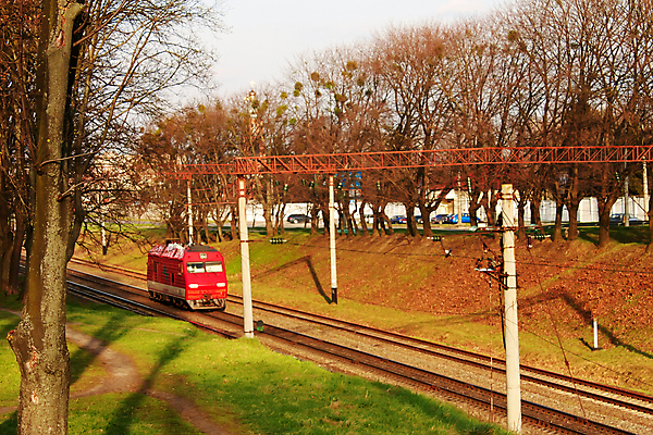 포토 JPG 해외이미지 나무 1 선 창문 모션 자동차 자연 하늘 날씨 그림자 사람없음 빨간색 초록색 빛 컬러풀 갈색 우주 봄 회색 기차 전선 기둥 도시 철 싱글 영토 장면 나무껍질 지역 벌거벗은 선로 자동 해외포토 식물 계절 건축 육상교통 컬러 대중교통 껍질 생태계 파일형식 이미지허브