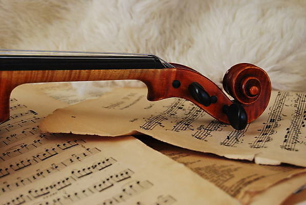 포토 JPG 해외이미지 음악 사람없음 화목 침묵 바이올린 향수 오케스트라 해외포토 컨셉 현악기 문화예술 소리 화장품 악단 파일형식 이미지허브