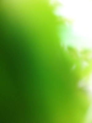 포토 JPG 해외이미지 백그라운드 자연 종류 사람없음 초록색 빛 봄 흐름 신선 시원함 유기농 올리브 심플 에메랄드 부드러움 라임 내추럴 가벼움 블러 숙성 해외포토 웰빙 계절 열매 컬러 컨셉 과일 감각 무게 보석 생태계 파일형식 이미지허브