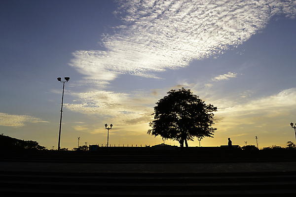 포토 JPG 해외이미지 나무 구름 계절 공원 실루엣 아시아 여행 백그라운드 잎 자연 하늘 날씨 추상 휴가 따뜻함 동양인 풍경 사람없음 야외 빨간색 여름 빛 햇빛 태양 일출 맑음 황혼 일몰 새벽 시골 분위기 황금 엽서 내추럴 교외 파라다이스 수평선 해외포토 자연요소 식물 공공시설 나라 컬러 컨셉 무늬 촬영기법 인종 노을 편지 생태계 파일형식 이미지허브