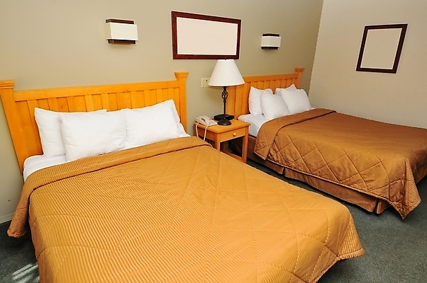 포토 JPG 해외이미지 여행 가구 컨셉 2 베개 호텔 실내 사람없음 내부 카펫 침실 이불 방 침대 램프 잠 고급 우아함 큼 쌍둥이 여관 더블 정리함 해외포토 생활용품 가족 침구 숙소 조명 크기 파일형식 이미지허브