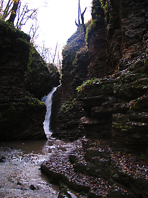 포토 JPG 해외이미지 나무 여행 자연 휴식 산 풍경 사람없음 목재 물 뷰티 폭포 가을 암초 해외포토 자연요소 식물 계절 컨셉 재료 생태계 파일형식 이미지허브