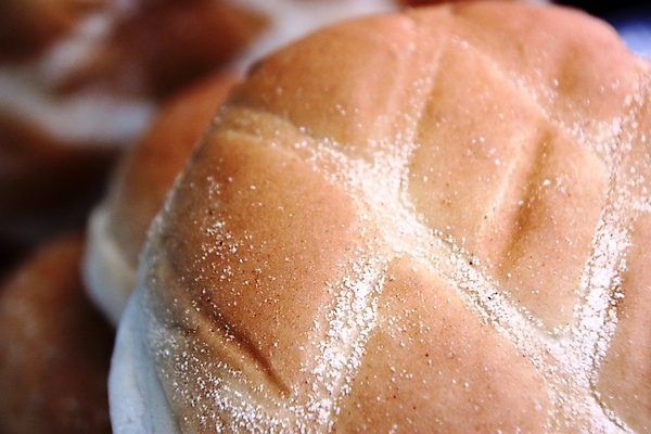 포토 JPG 해외이미지 음식 샌드위치 씨앗 사람없음 반짝임 갈색 빵집 햄버거 흰색 신선 황금 닫기 그릴 바비큐 두루마리 롤 깨 점심식사 번 해외포토 식물 빵 컬러 식재료 모션 주방용품 패스트푸드 상점 식사 조미료 파일형식 이미지허브