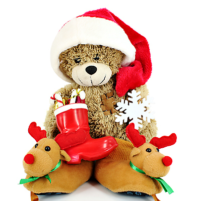 포토 JPG 해외이미지 동물 1 계절 크리스마스 장난 곰 휴가 털 선물 사람없음 빨간색 장난감 산타클로스 분노 흰색 12월 부드러움 솜털 폭식 해외포토 기념일 감정 컬러 포유류 감각 날짜 파일형식 이미지허브