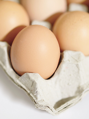 포토 JPG 해외이미지 음식 재료 포장 사람없음 세로 계란 치킨 신선 날것 판지 단백질 생식 해외포토 알 닭고기요리 영양소 파일형식 이미지허브