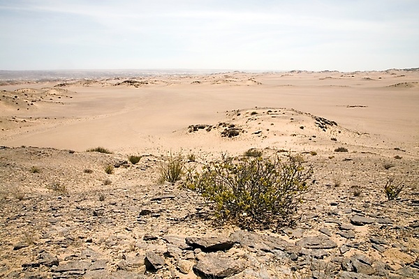 포토 JPG 해외이미지 모래 여행 아프리카 휴가 산 건조 파노라마 사람없음 사막 뜨거움 황무지 모래언덕 사파리 언덕 남쪽 사하라 나미비아 특별함 해외포토 나라 컨셉 촬영기법 방향 남아프리카 파일형식 이미지허브