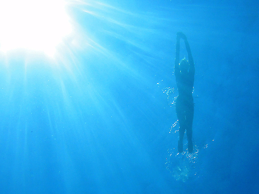 포토 JPG 해외이미지 야생동물 바다 자연 이집트 어류 사람없음 태양 수중 산호 홍해 해외포토 자연요소 동물 아프리카 수중동물 자포동물 생태계 파일형식 이미지허브