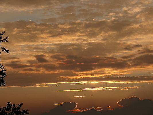 포토 JPG 해외이미지 나무 구름 실루엣 백그라운드 잎 오렌지 자연 하늘 풍경 사람없음 야외 여름 태양 뷰티 노란색 평화 일몰 낭만 저녁 내추럴 생태학 해외포토 자연요소 식물 계절 교육 컬러 컨셉 과일 촬영기법 노을 야간 생태계 파일형식 이미지허브