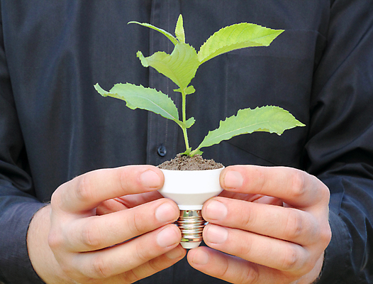 포토 JPG 해외이미지 나무 식물 컨셉 전구 아이디어 사람없음 초록색 빛 글로벌 환경 재활용 에너지 성장 흰색 램프 절약 오염 닫기 보호 에코 자원 내추럴 혁명 돌봄 모종 묘목 발명 방법 생태학 해외포토 교육 컬러 모션 조명 친환경 파일형식 이미지허브