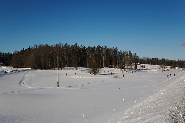 포토 JPG 해외이미지 유럽 스포츠 포즈 겨울 스키 사람 사람없음 운동 흰색 속도 스키선수 해외포토 계절 나라 컬러 겨울스포츠 운동선수 건강 파일형식 이미지허브
