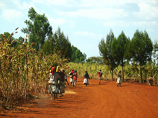 포토 JPG 해외이미지 사람없음 마을 시장 지역 에티오피아 흙길 해외포토 길 아프리카 흙 파일형식 이미지허브