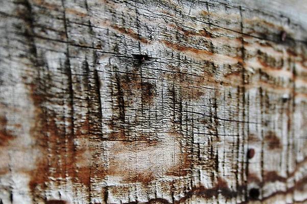 포토 JPG 해외이미지 백그라운드 자연 표면 사람없음 목재 장식 가로 갈색 우주 어둠 줄무늬 수확 골동품 못 거친 묘사 질감 다리찢기 수목 옛날 해외포토 나무 컬러 무늬 농업 재료 모션 공구 생태계 파일형식 이미지허브