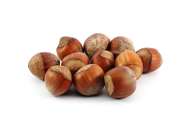 포토 JPG 해외이미지 음식 백그라운드 재료 건강 요리 씨앗 사람없음 갈색 미국 견과류 흰색 맛 굽기 먹기 묘사 유기농 알맹이 영양 호두 성분 내추럴 고립 단백질 식용 피칸 헤이즐넛 개암 해외포토 식물 웰빙 열매 컬러 컨셉 북아메리카 모션 구이 영양소 파일형식 이미지허브