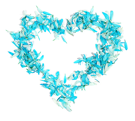 포토 JPG 해외이미지 모양 식물 기념일 꽃잎 꽃 행복 감정 꽃다발 결혼 백그라운드 꽃무늬 패턴 데이트 자연 결혼식 휴가 기념 프레임 발렌타인데이 선물 사랑 사람없음 장식 빨간색 뷰티 장미 낭만 벚꽃 흰색 하트 축하 심볼 질감 열정 초대 약혼 고립 국경 해외포토 컬러 컨셉 무늬 데이이벤트 이벤트 생태계 약속 파일형식 이미지허브