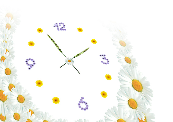 포토 JPG 해외이미지 식물 디자인 계절 꽃잎 꽃 시계 백그라운드 자연 미술 사람없음 장식 시간 민들레 밀 데이지 다이얼 분 생태학 해외포토 교육 문화예술 곡류 생태계 파일형식 이미지허브