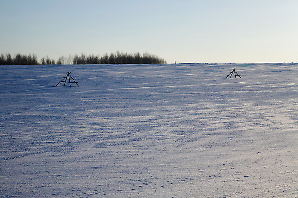 포토 JPG 해외이미지 나무 계절 백그라운드 겨울 자연 하늘 날씨 풍경 사람없음 야외 냉동 얼음 추위 흰색 시원함 서리 해외포토 자연요소 식물 컬러 생태계 파일형식 이미지허브