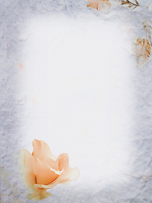 포토 JPG 해외이미지 디자인 꽃잎 꽃 종이 백그라운드 잎 꽃무늬 벽지 표면 추상 문구용품 건조 미술 사람없음 장식 뷰티 장미 낭만 수확 골동품 벚꽃 묘사 질감 복고 시트 내추럴 옛날 핸드메이드 해외포토 식물 컨셉 무늬 농업 문화예술 오브젝트 파일형식 이미지허브