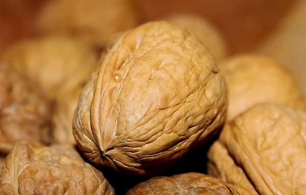 포토 JPG 해외이미지 음식 건강 사람없음 가로 갈색 견과류 껍질 닫기 맛 큼 유기농 호두 해외포토 웰빙 컬러 컨셉 모션 크기 파일형식 이미지허브