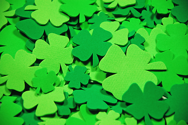 포토 JPG 해외이미지 잎 사람없음 초록색 행운 성자 클로버 아일랜드 해외포토 식물 유럽 종교 컬러 컨셉 파일형식 이미지허브