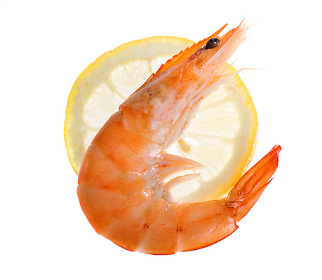 포토 JPG 해외이미지 1 음식 바다 백그라운드 다이어트 오렌지 재료 조개 새우 건강 갑각류 요리 사람없음 가로 식당 중국 흰색 닫기 자르기 레몬 해산물 오브젝트 준비 싱글 질감 날것 고립 삶기 맛있는 해외포토 동물 아시아 컬러 과일 모션 어패류 상점 파일형식 이미지허브