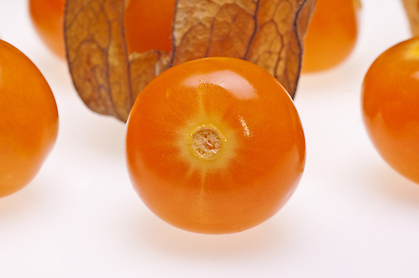 포토 JPG 해외이미지 식물 열매 음식 백그라운드 오렌지 과일 자연 디저트 건강 요리 사람없음 장식 컬러풀 갈색 노란색 중국 흰색 신선 원형 투명 체리 그룹 황금 달콤 맛 작음 망토 먹기 구스베리 이국적 해외포토 도형 아시아 컬러 컨셉 모션 크기 생태계 파일형식 이미지허브