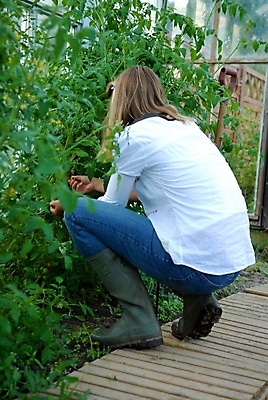 포토 JPG 해외이미지 식물 라이프스타일 꽃 가족 휴가 실내 노르웨이 사람없음 내부 정원 업무 자르기 고정 스칸디나비아 온실 해외포토 유럽 관계 모션 생활 작업 파일형식 이미지허브