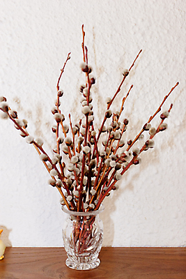 포토 JPG 해외이미지 전통 기독교 화분 자연 탁자 아침 휴가 부활절 사람없음 목재 장식 갈색 새싹 저녁식사 고양이 봄 흰색 축하 신선 냄비 다발 배열 버드나무 심볼 폴란드 해외포토 주간 나무 식물 계절 기념일 유럽 종교 컬러 가구 컨셉 재료 포유류 반려동물 식사 솥 생태계 파일형식 이미지허브