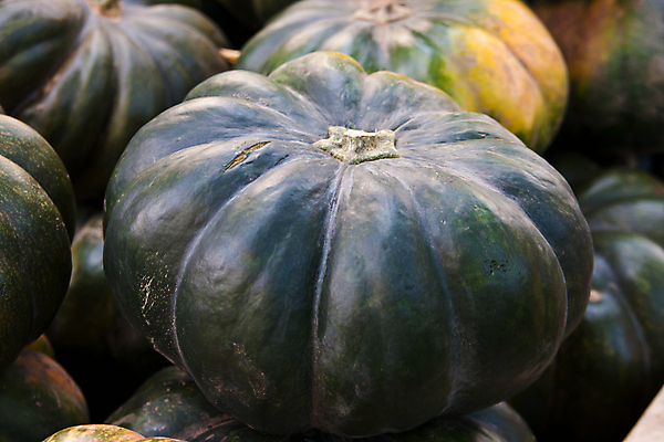 포토 JPG 해외이미지 음식 채소 호박 사람없음 가로 박 스쿼시 해외포토 스포츠 구기 파일형식 이미지허브