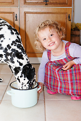 포토 JPG 해외이미지 동물 백인 여자 행복 유럽 얼굴 어린이 장난 놀이 생물 실내 한명 사람 반려동물 컬러풀 귀여움 검은색 흰색 아기 점 개 달콤 작음 흥분 마야 송곳니 걸음마 기르기 달마시안 동반자 유래 취급주의 해외포토 서양인 1 감정 나라 컬러 컨셉 포유류 모션 경고 내부 신체부위 맛 치아 크기 마야문명 돌봄 파일형식이미지허브 