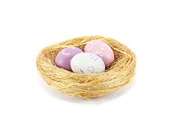 포토 JPG 해외이미지 동물 음식 가족 자연 조류 부활절 사람없음 계란 봄 껍질 흰색 아기 둥지 심볼 보안 내추럴 고립 취급주의 해외포토 계절 기념일 컬러 관계 경고 안전 사람 알 생태계 파일형식 이미지허브