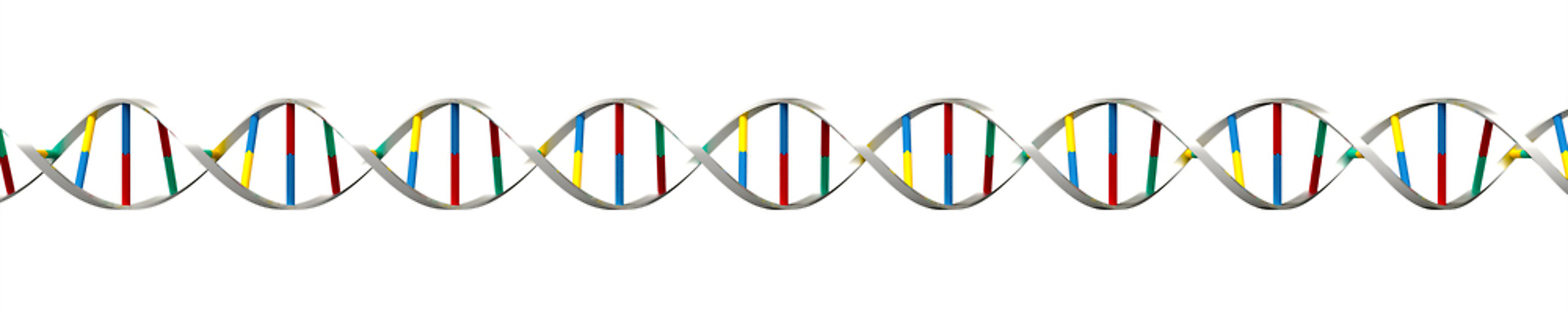 포토 JPG 해외이미지 과학 패턴 일러스트 자연 세포 나선형 사람 사람없음 약 3D 흰색 진화 DNA 생명공학 생물학 만들기 염색체 고립 유전 해외일러스트 교육 컬러 무늬 의학 모션 소방 디지털합성 생태계 파일형식 이미지허브