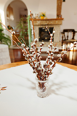 포토 JPG 해외이미지 전통 기독교 화분 자연 탁자 아침 휴가 부활절 사람없음 목재 장식 갈색 새싹 저녁식사 고양이 봄 흰색 축하 신선 냄비 다발 배열 버드나무 심볼 해외포토 주간 나무 식물 계절 기념일 종교 컬러 가구 컨셉 재료 포유류 반려동물 식사 솥 생태계 파일형식 이미지허브