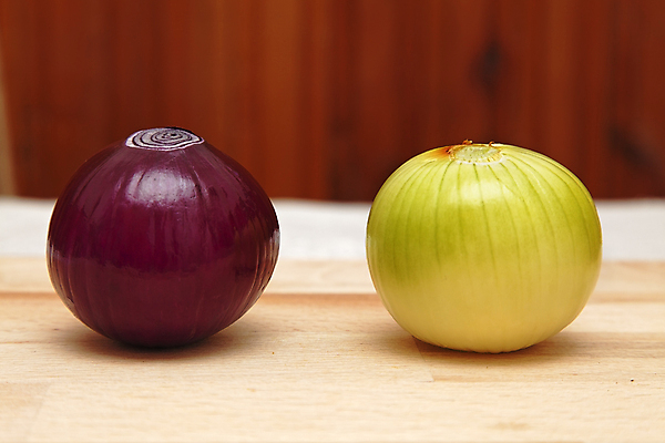 포토 JPG 해외이미지 음식 채소 재료 양파 종류 사람없음 빨간색 흰색 신선 날것 반대 더블 똑같은 해외포토 컬러 파일형식 이미지허브