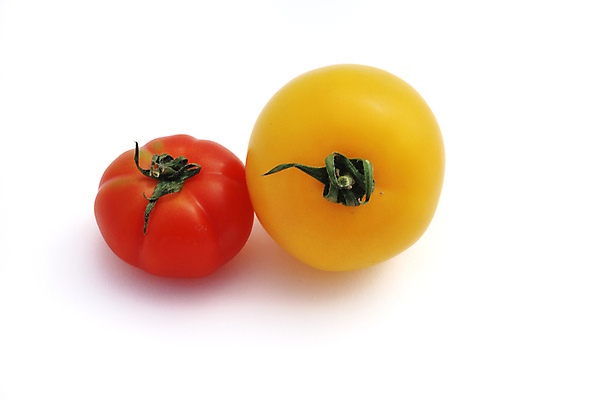 포토 JPG 해외이미지 음식 토마토 채소 과일 건강 사람없음 빨간색 여름 노란색 비타민 해외포토 계절 컬러 영양소 파일형식 이미지허브