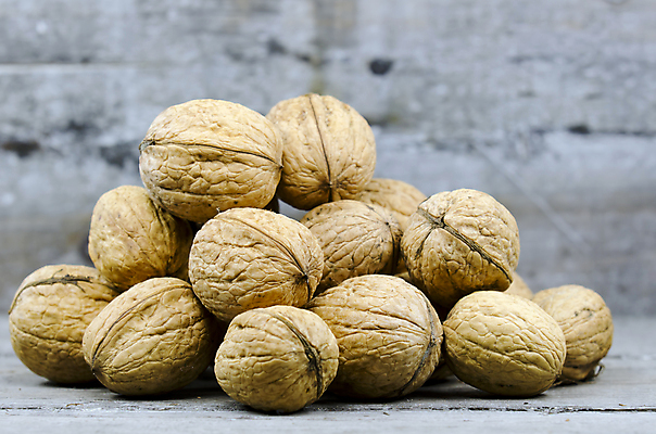 포토 JPG 해외이미지 음식 건조 사람없음 목재 견과류 신선 호두 해외포토 나무 재료 파일형식 이미지허브