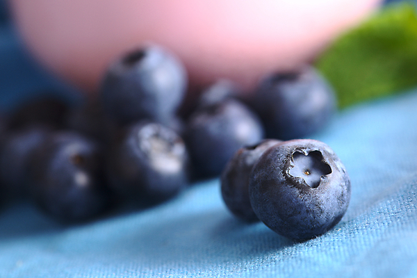 포토 JPG 해외이미지 스튜디오촬영 열매 음식 과일 건강 사람없음 가로 파란색 사진촬영 신선 블루베리 날것 베리 해외포토 식물 컬러 실내 촬영 파일형식 이미지허브