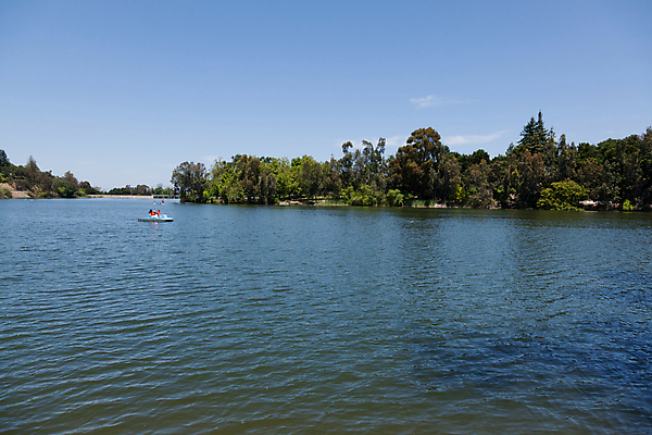 포토 JPG 해외이미지 나무 식물 공원 호수 자연 놀이 사람없음 물 정원 봄 산책 하이킹 도시 캘리포니아 일요일 해외포토 자연요소 계절 공공시설 레저 휴식 미국 생태계 요일 파일형식 이미지허브
