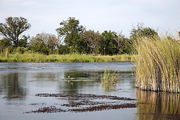 포토 JPG 해외이미지 식물 공원 하늘 동물원 3 사람없음 초록색 물 강 컬러풀 보트 황무지 플랫 사파리 사냥 남쪽 계산서 내추럴 보츠와나 오프로드 해외포토 자연요소 공공시설 컬러 배_교통 방향 파일형식 이미지허브